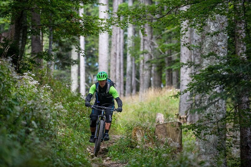 Trans Slovenia 4 mountain biker in forest