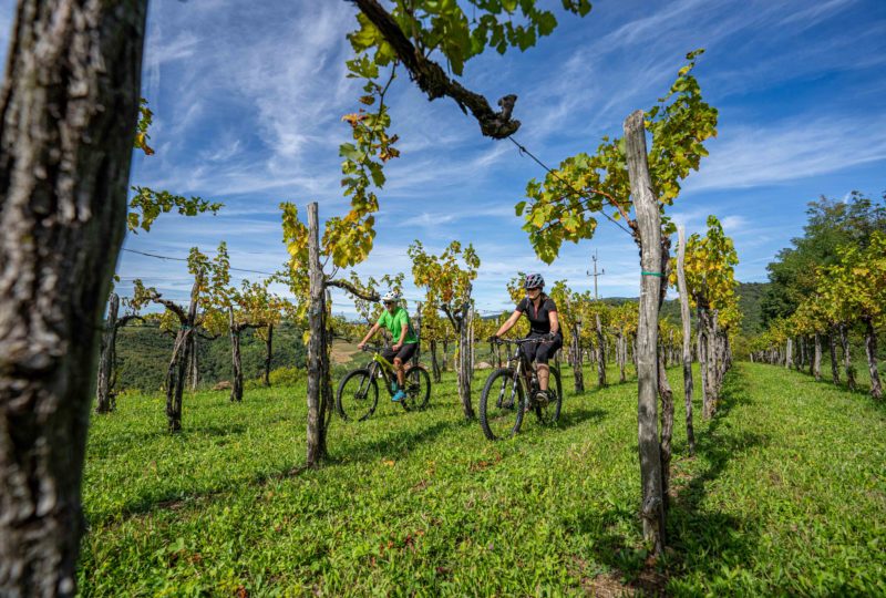 BIKE SLOVENIA GREEN Gourmet Route • cycling tour Visit Goodplace