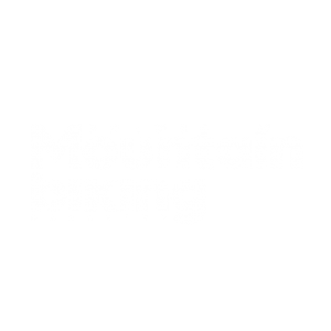 prime mountaing biking trans slovenia white