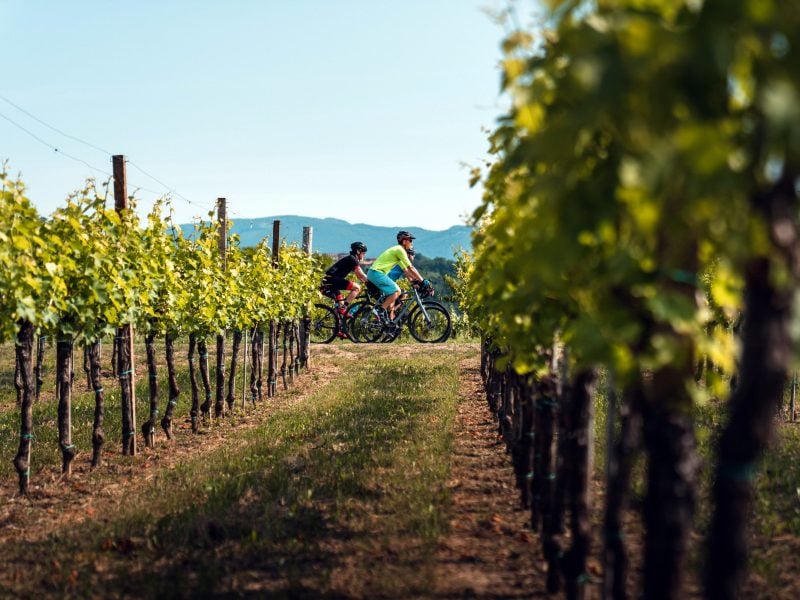 slovenia-green-gourmet-cycling