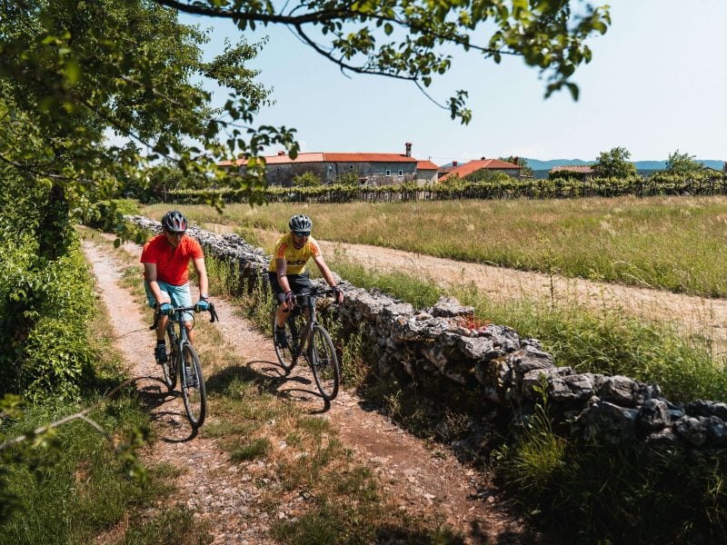 gourmet-cycling-tour-slovenia