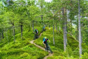 Mountain bikers riding flowing forest single trails on an MTB tour in Slovenia