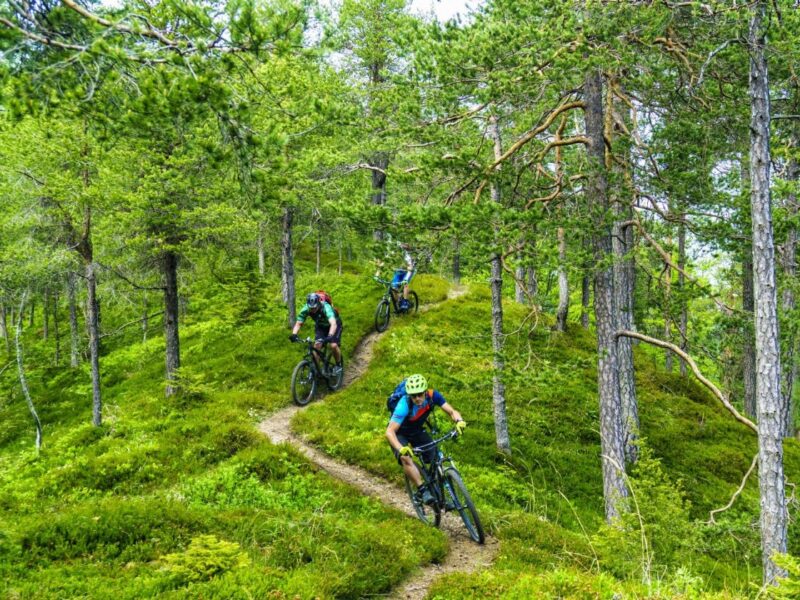 Mountain bikers riding forest single trails on a MTB tour in Slovenia