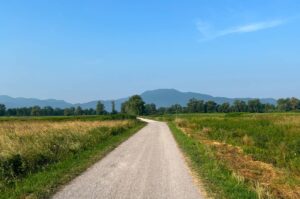 Gravel MTB route across the Ljubljana Marshes UNESCO landscape with mountains in the distance
