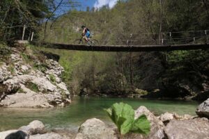 Mountain biker crossing a forest suspension bridge on one of the best MTB trips in Slovenia and Europe