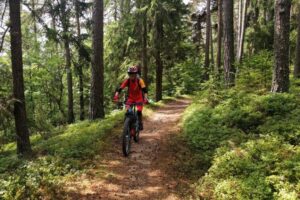 Mountain biker riding one of the top forest singletrails on the Trans Slovenia 04 MTB route