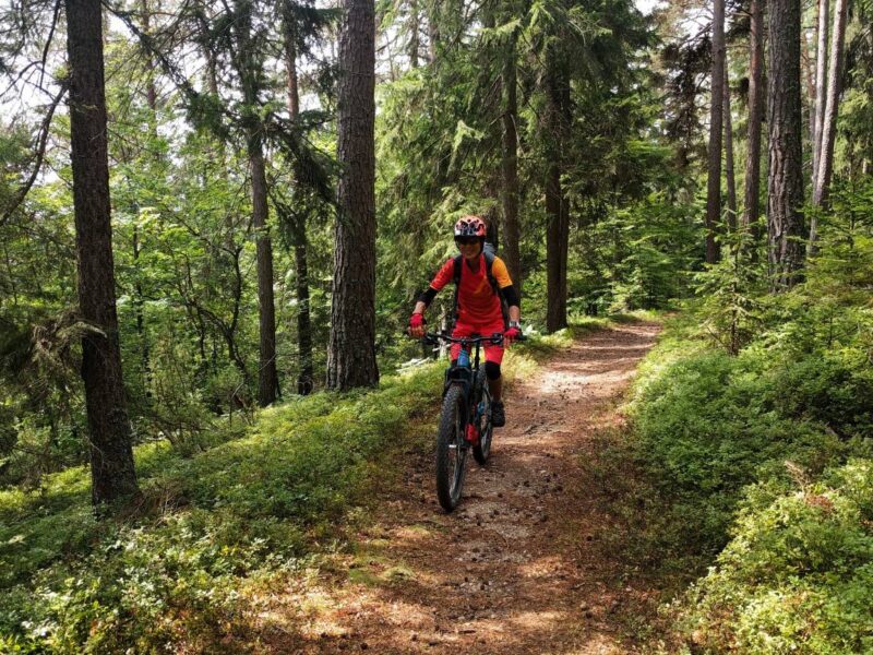 Cyclist riding top forest single trails along the Trans Slovenia 04 MTB route