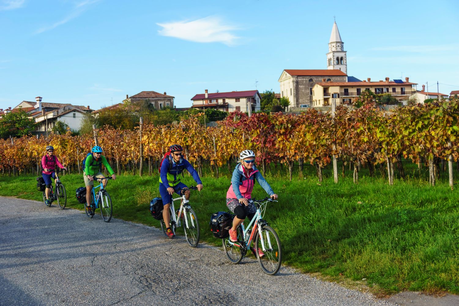Autumn cycling in Slovenia among vineyards