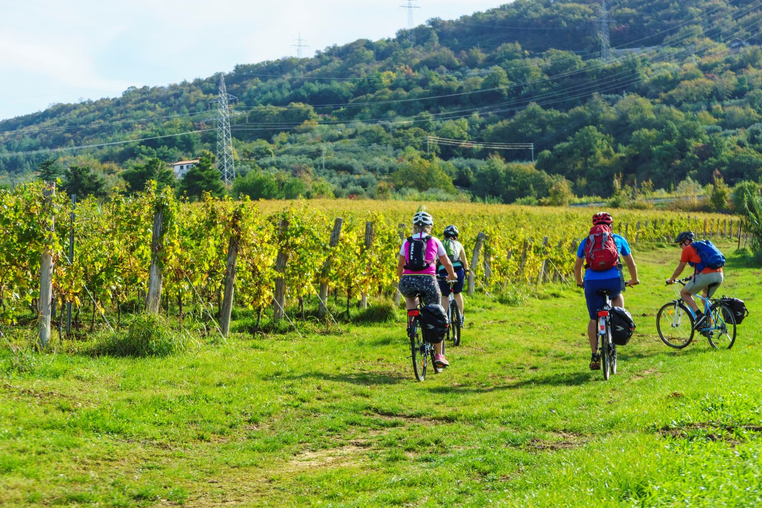 Autumn is one of the best months for bike rides across Slovenia