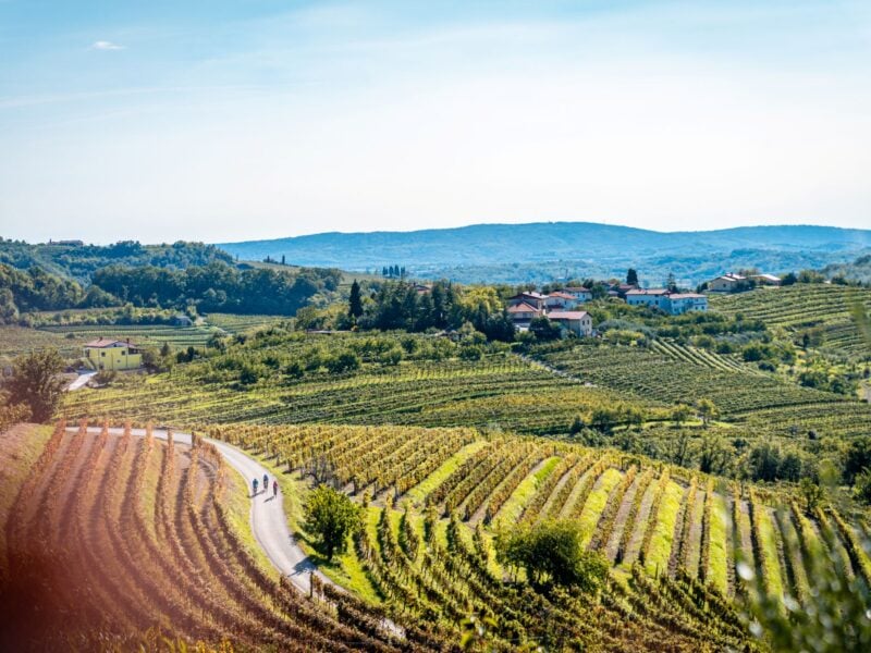 Cycling through Slovenian vineyards