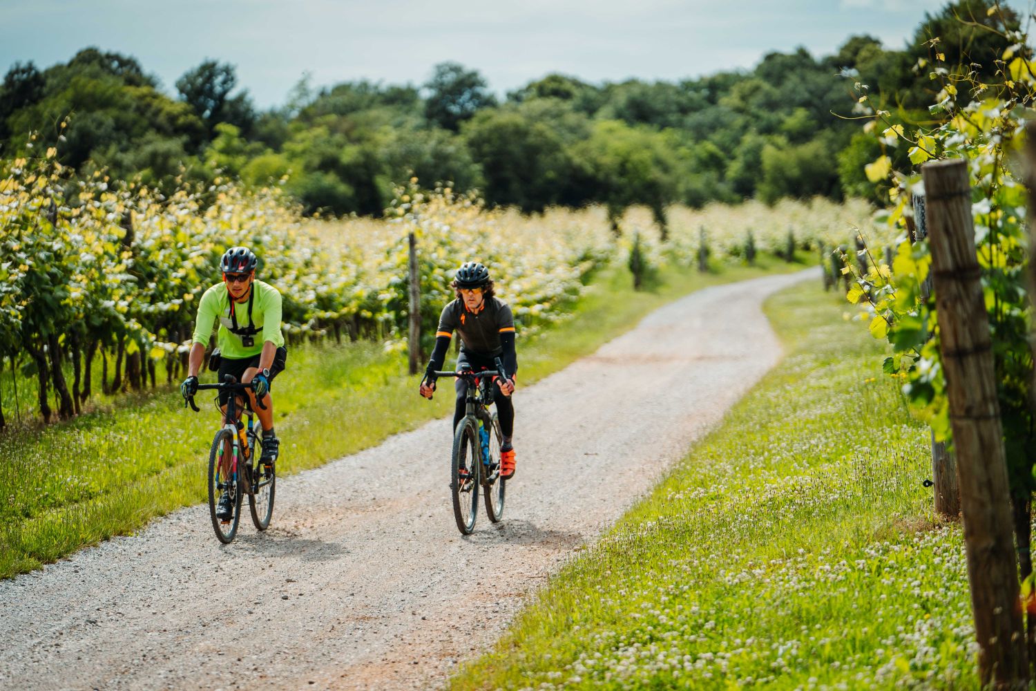 Travelling by bike through Slovenia