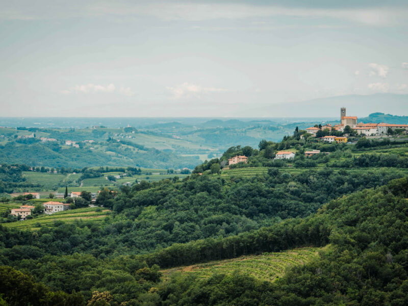 Gravel bike tour in Slovenia's wine region