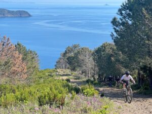 Panoramic sea views from an Elba MTB trail offering some of the best mountain biking in Italy