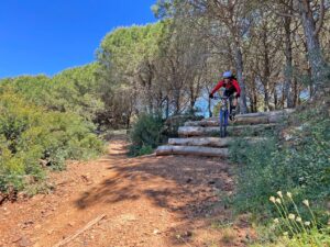 Mountain biker riding a wooded trail on Elba Island, Italy